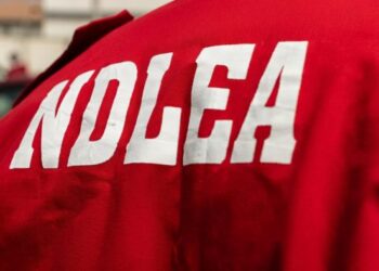 NDLEA seizes over 1.1 tonnes of cannabis in Taraba, arrests suspect