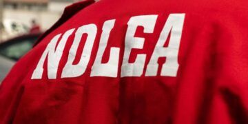 NDLEA seizes over 1.1 tonnes of cannabis in Taraba, arrests suspect