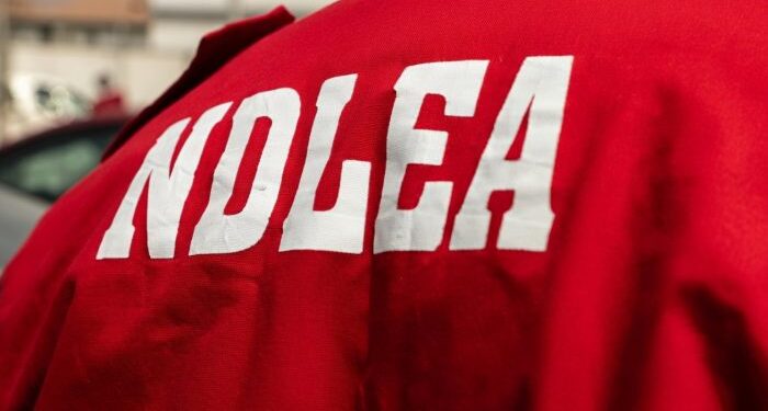 NDLEA seizes over 1.1 tonnes of cannabis in Taraba, arrests suspect