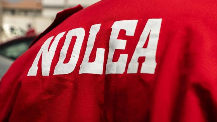 NDLEA seizes over 1.1 tonnes of cannabis in Taraba, arrests suspect